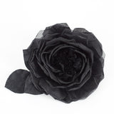 FLOWER BLACK
